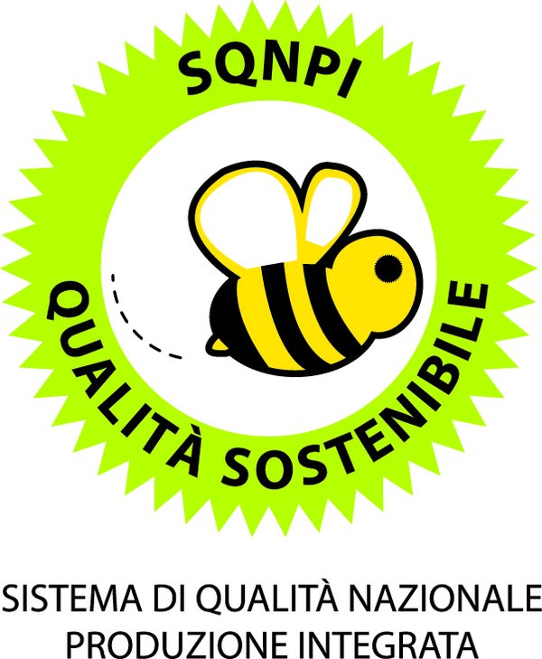 Fantallenatore